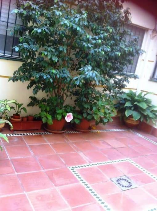 Apartamento Paola エル・プエルト・デ・サンタ・マリア エクステリア 写真